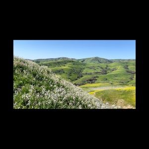 Meet your Posher, Yen